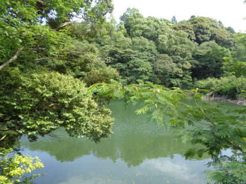 DSC06849