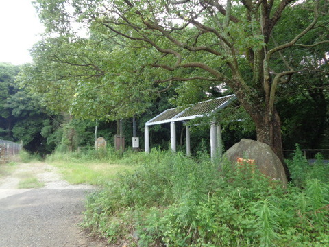 DSC01062