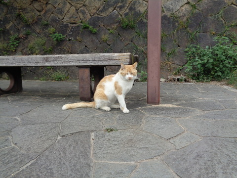 DSC09669