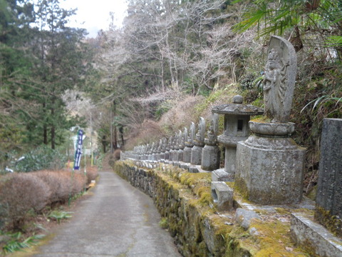 DSC09080