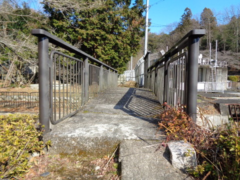 DSC03790