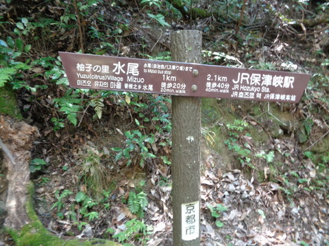 DSC01862