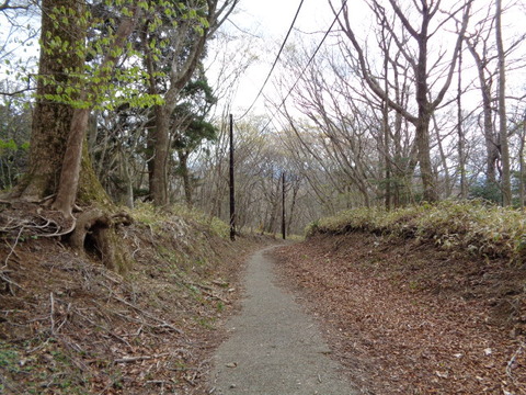 DSC00110