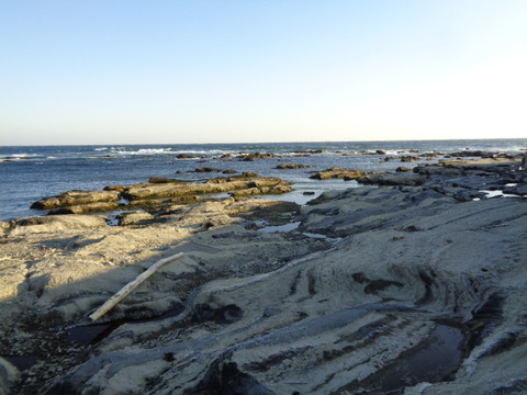 DSC01621