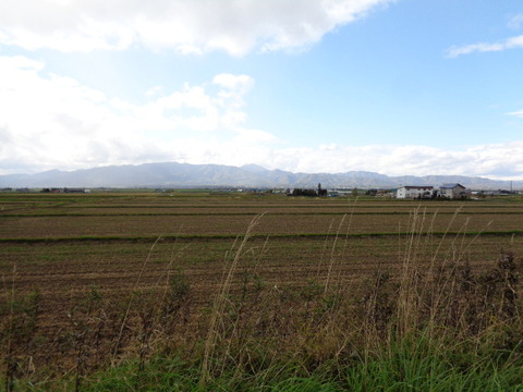 DSC03729