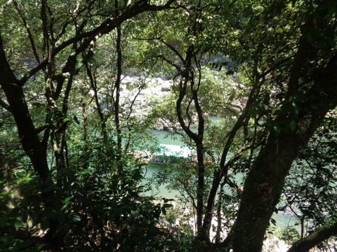 DSC01935