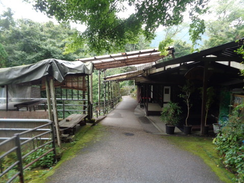 DSC01492