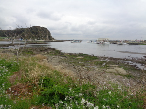 DSC08471