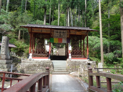 DSC03130