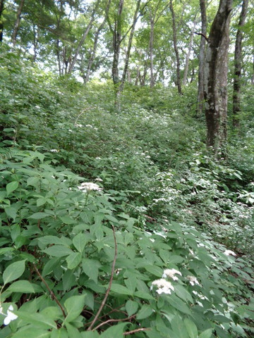 DSC09405