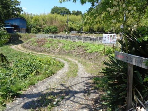 DSC02674