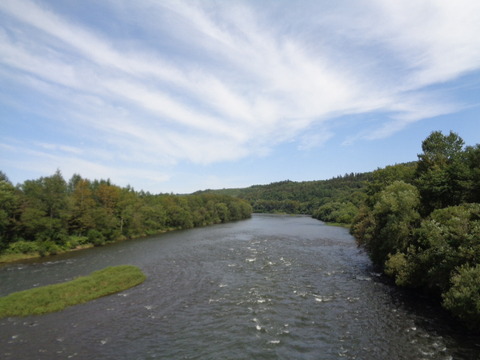 DSC04414