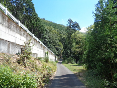 DSC01874
