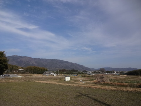 DSC03939