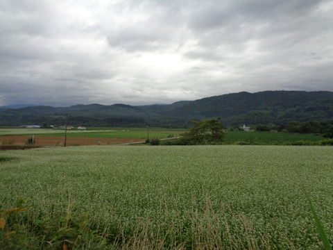 DSC04629