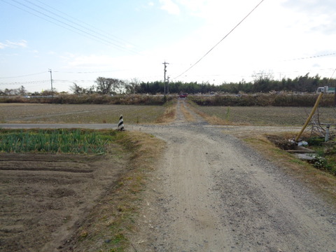 DSC06990