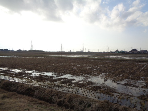 DSC08060