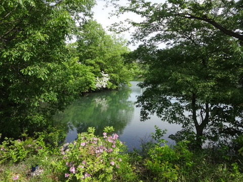 DSC07010