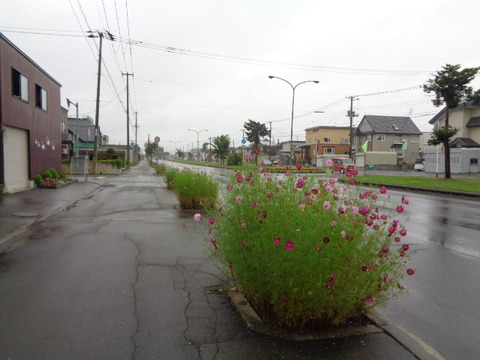 DSC04094