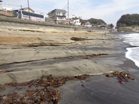 DSC08136