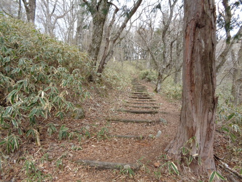 DSC00092