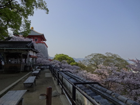 DSC04702