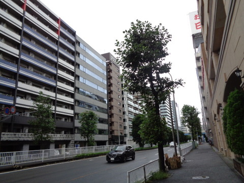 DSC05789