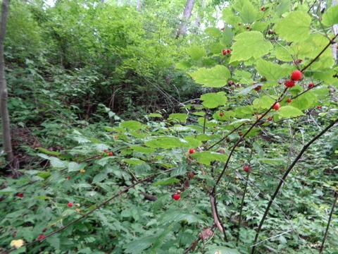 DSC09326