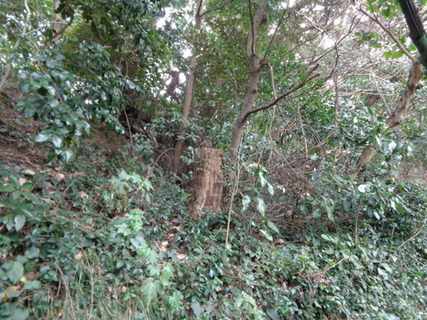 DSC08055