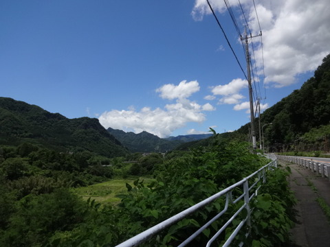 DSC09129