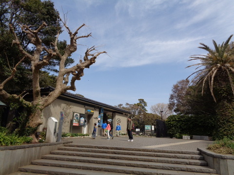DSC07943