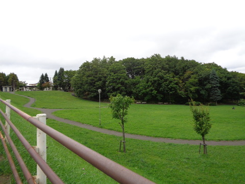 DSC04796