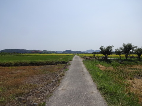 DSC07636