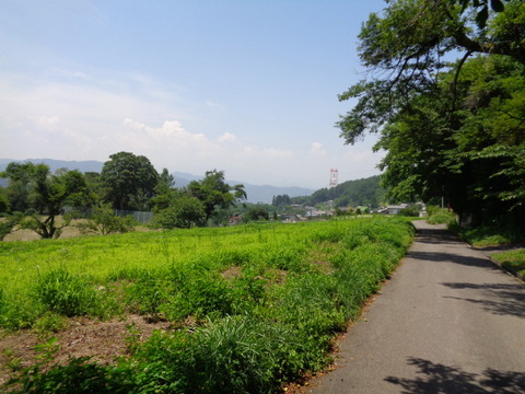DSC01041