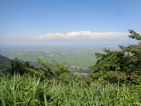 DSC08704