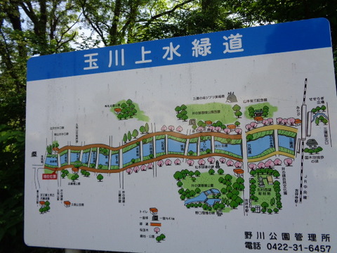 DSC00355