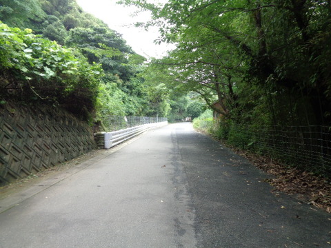 DSC00959
