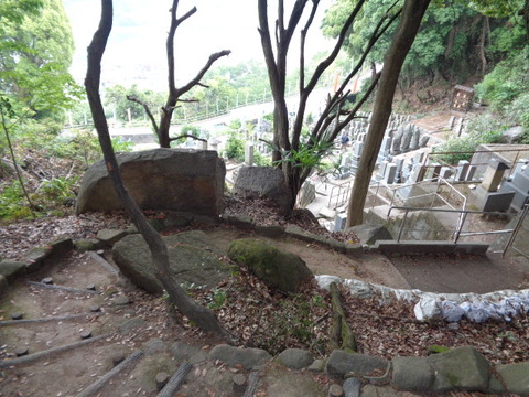 DSC09706
