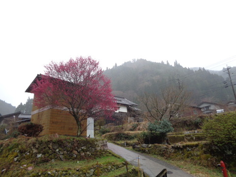 DSC04699