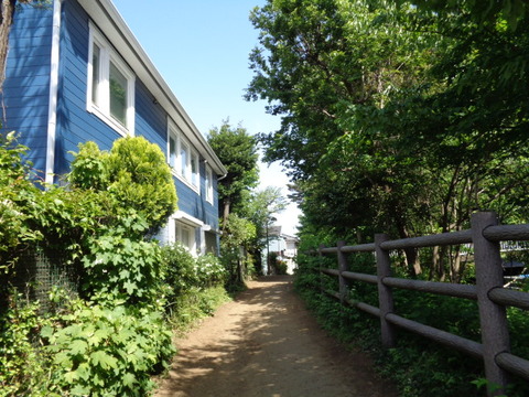 DSC00327