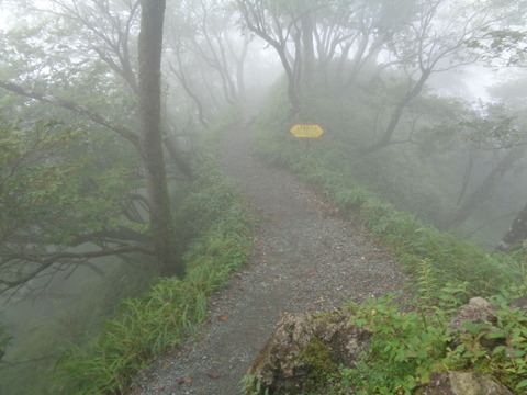 DSC05378