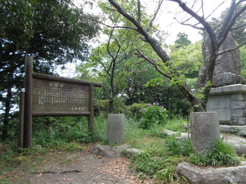 DSC06785