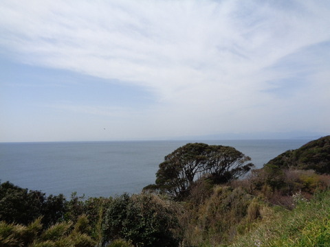 DSC07940