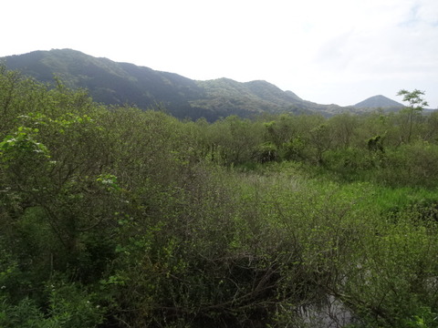DSC05904