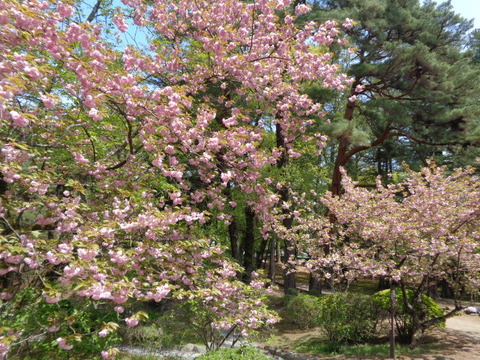 DSC01559