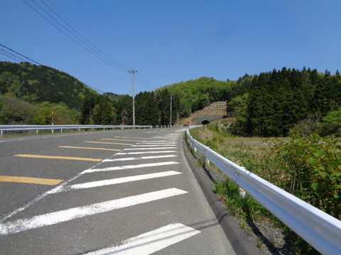 DSC03373
