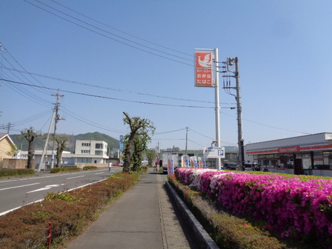 DSC01719