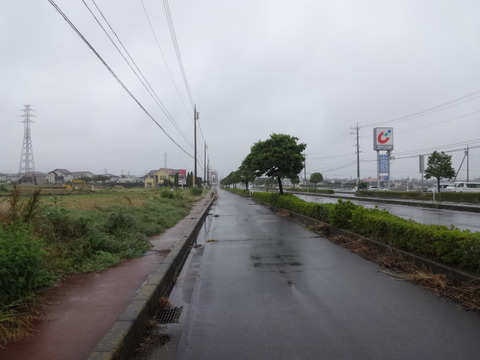 DSC08425