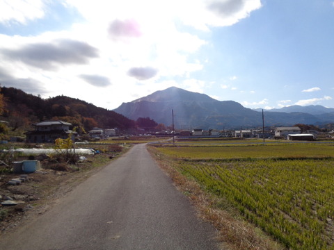 DSC04169