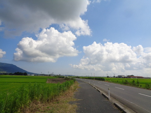 DSC08828